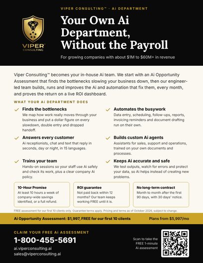 Preview of the one-page Viper Consulting flyer